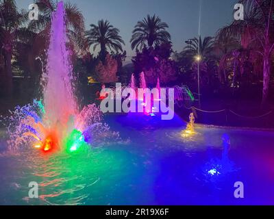 A beautiful night singing fountain with jets of water and splashes with multi-colored illumination against the backdrop of tropical palm trees. Stock Photo