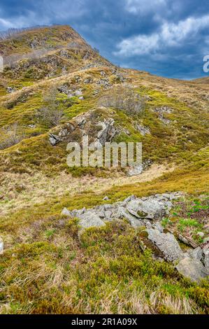 Early spring landscape of Połonina Wetlińska with the Mount Roh in the Bieszczady Mountains. Stock Photo