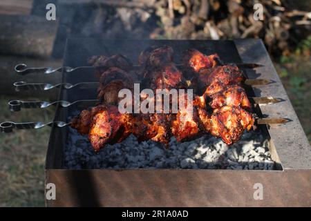 Pork barbecue shashlik on skewers frying on a grill brazier against fire wood stack and green grass background Stock Photo