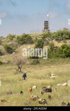 Jerusalem, Israel - May 6th, 2022: A herd of goats and sheep with their shepherd near an Iron Dome anti rocket battery, deployed in the Judea mountain Stock Photo