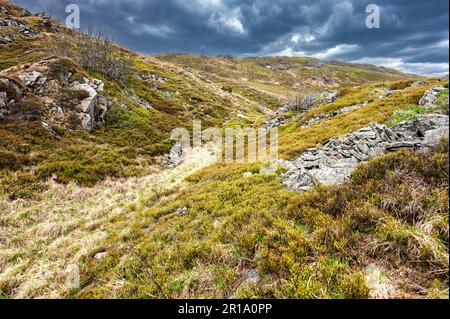 Early spring landscape of Połonina Wetlińska with the Mount Osadzki Wierch in the Bieszczady Mountains. Stock Photo