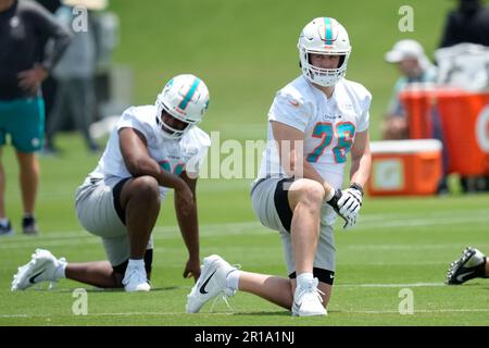 Miami Dolphins offensive tackle Ryan Hayes (76) and Houston Texans  defensive end Ali Gaye (73) during an NFL preseason football game,  Saturday, Aug. 19, 2023, in Houston. (AP Photo/Tyler Kaufman Stock Photo -  Alamy