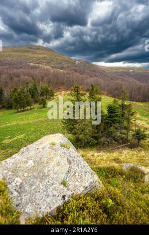 Early spring landscape of Połonina Wetlińska with the Mount Roh in the Bieszczady Mountains. Stock Photo