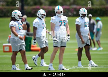 Miami Dolphins offensive tackle Ryan Hayes (76) and Houston Texans  defensive end Ali Gaye (73) during an NFL preseason football game,  Saturday, Aug. 19, 2023, in Houston. (AP Photo/Tyler Kaufman Stock Photo -  Alamy