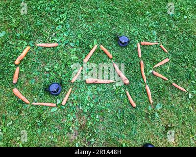 the word from carrots lies on the lawn. letters C, A, R on the grass. vitamin alphabet. creative lettering. The word machine made of orange carrots. c Stock Photo