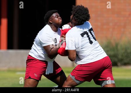 Arizona Cardinals rookie Jon Gaines II works out during an NFL football  mini camp, Friday, May 12, 2023, in Tempe, Ariz. (AP Photo/Matt York Stock  Photo - Alamy