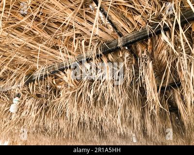Texture from sagging dry yellow orange natural beautiful withered diverse rustic old dehydrated texture roof made of grass, straw, hay, twigs dried in Stock Photo