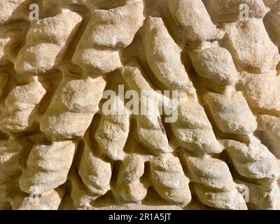 Stone relief surface with washed out brown color (texture). Stock Photo