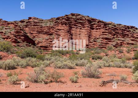 Stunning, reddish landscape of Ischigualasto Provincial Park in San Juan Province, Argentina - traveling South America Stock Photo