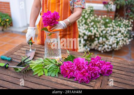 Mature woman arranging the garden of her house with various gardening instruments Stock Photo