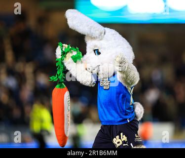 Peterborough United mascot Peter Burrow celebrates victory after the Sky Bet League 1 Play-Offs match Peterborough vs Sheffield Wednesday at Weston Homes Stadium, Peterborough, United Kingdom, 12th May 2023  (Photo by Nick Browning/News Images) Stock Photo