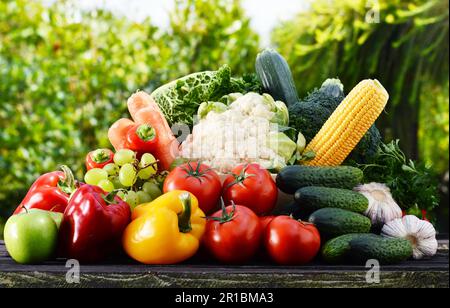 Assorted raw organic vegetables in the garden Stock Photo