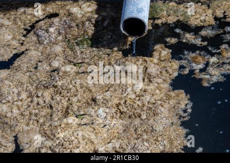 Dirty water flows from the pipe into the river, environmental pollution. Sewerage, treatment facilities Stock Photo