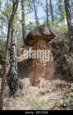 differential erosion, geology, mushroom shape, formation Stock Photo