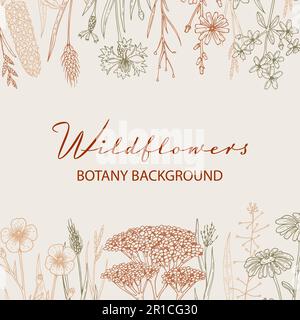 Hand drawn summer wildflowers frame. Vector illustration in sketch style. Meadow flowers aesthetic background. Summer design Stock Vector