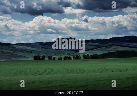 farmland below dramatic sky with stormy clouds in spring of Sicily, Italy Stock Photo