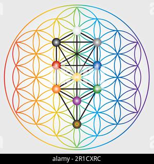 Flower of Life Symbol in Rainbow Colors, Cosmic Universe Energy Wheel, Tree of Sephiroth, Kabbalah Stock Vector