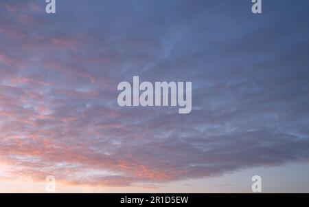 Evening sky with pastel-colored clouds Stock Photo