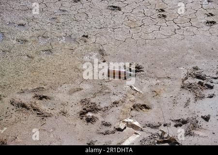 Old used glass bottle inside drought ground cracks. Dry land in the dry season. Lack of humidity effect from global cracked soil. Stock Photo