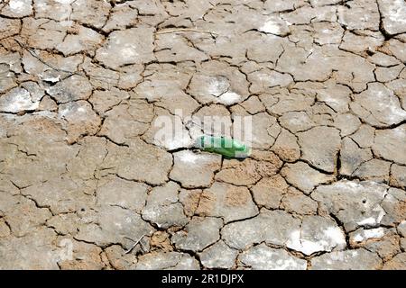 Old used glass bottle inside drought ground cracks. Dry land in the dry season. Lack of humidity effect from global cracked soil. Stock Photo