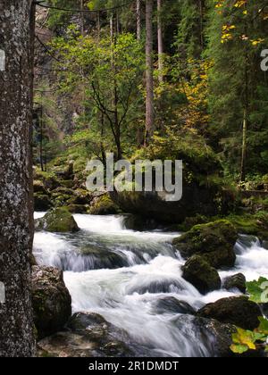 A scenic view of a cascading waterfall surrounded by lush green trees in Golling, Austria Stock Photo