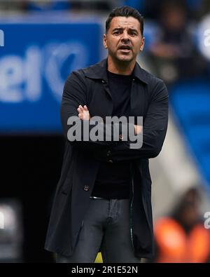 Girona FC head coach Michel Sanchez during the La Liga EA Sports match ...