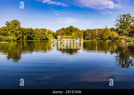 Beautiful sunny panorama of big lake with small fountains at center and  green trees and bushes around in city South park Stock Photo - Alamy