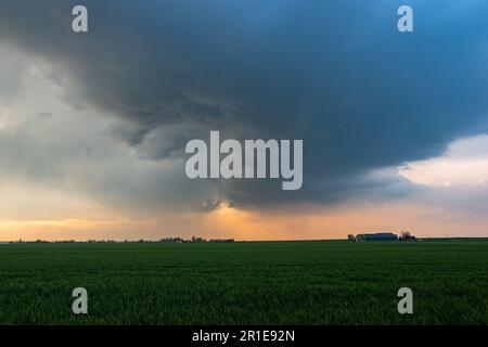 View of a thunderstorm over the plains in the evening light Stock Photo