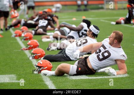 Cleveland Browns rookie Ryan Greenhagen (59) and Storey Jackson