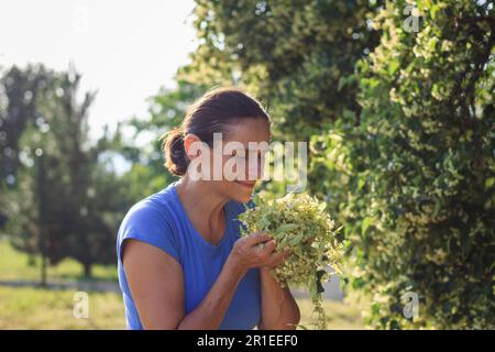Scent of linden blossoms. Woman smells the collected flowers and leaves of the lime tree. Gathering seasonal herbs Stock Photo