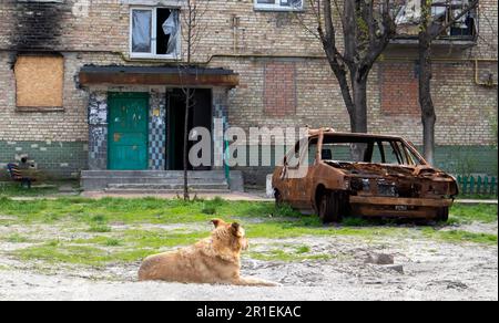 Consequences of the bombing in the city. The rocket blew up the house. A bombed-out apartment building and burnt-out cars after an airstrike. Holes in Stock Photo