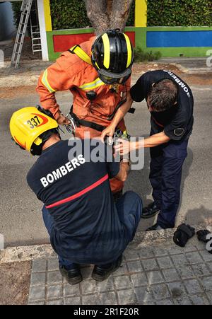 Two firefighters adjusting a partner security belts Stock Photo