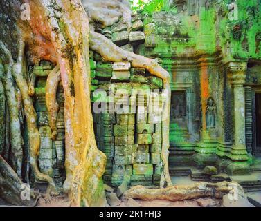 Overgrown remains of Ta Prohm temple, near Angkor Wat, Cambodia Stock Photo