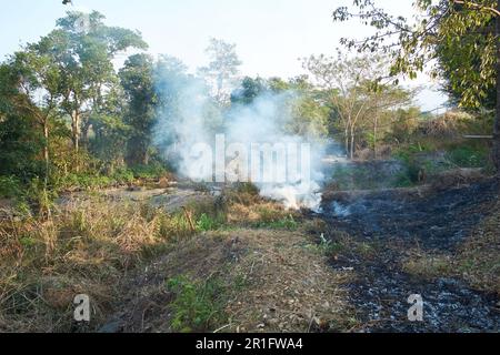 Fire set to vegetation in a forested patch somewhere in Maharashtra, India Stock Photo