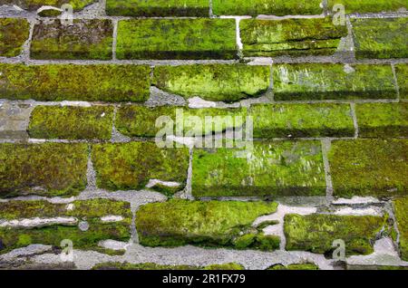 Old uneven brickwork with moss growing on close-up Stock Photo