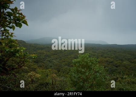 A view of the dense tropical moist evergreen forests of Mahabaleshwar in Maharashtra, India Stock Photo