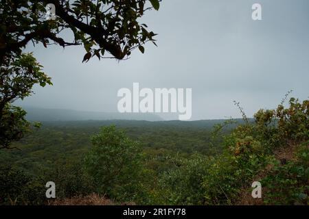 A view of the dense tropical moist evergreen forests of Mahabaleshwar in Maharashtra, India Stock Photo