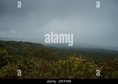 A view of the dense tropical moist evergreen forests of Mahabaleshwar in Maharashtra, India Stock Photo