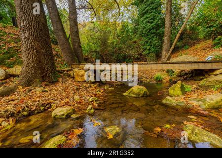 View of rocks, trees, water stream, fall foliage, footbridge, and trail marks, in the Amud Stream Nature Reserve, Upper Galilee, Northern Israel Stock Photo