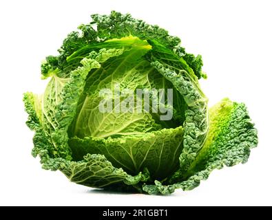 Fresh organic cabbage head isolated on white background Stock Photo