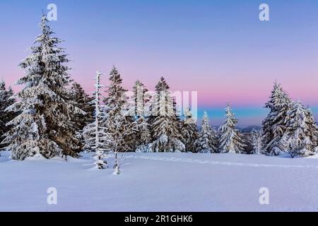 Winter landscape in the Black Forest, sunset, Black Forest High Road, B500, Baiersbronn, Baden-Wuerttemberg, Germany Stock Photo