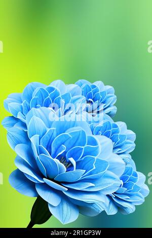 blue flowers on green backdrop Stock Photo