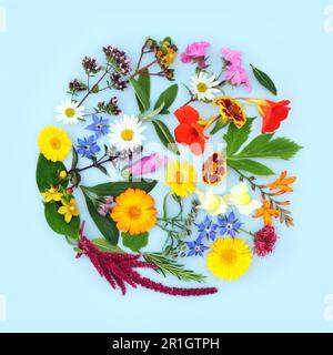 Summer flowers and herbs used in flower remedies and herbal plant medicine treatments. Alternative healing floral concept round shape logo. Stock Photo