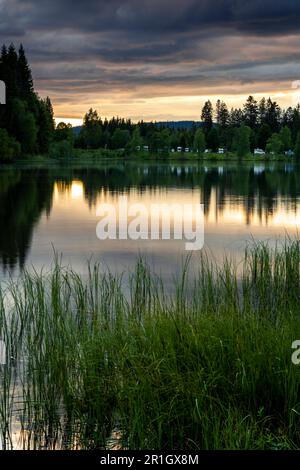 Landscape in the Black Forest. Beautiful lake Windgfällweiher. Some camper vans on the other side of the lake .Germany. Stock Photo