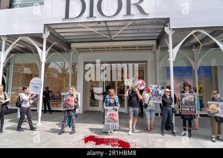 New York, New York, USA. 13th May, 2023. (NEW) Anti-Fur Protest. May 13, 2023, New York, New York, USA: Rachel J Levy Ejsmont holds a sign in front of the Dior store on Fifth Avenue during an Anti-Fur Protest on May 13, 2023 in New York City. Animal rights activists lead by Rachel J Levy Ejsmont hold a peaceful NYC's Anti-Fur Protest protesting Dior and Louis Vuitton for refusing to go Fur-Free. (Credit Image: © M10s/TheNEWS2 via ZUMA Press Wire) EDITORIAL USAGE ONLY! Not for Commercial USAGE! Stock Photo
