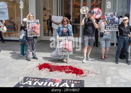 New York, New York, USA. 13th May, 2023. (NEW) Anti-Fur Protest. May 13, 2023, New York, New York, USA: Rachel J Levy Ejsmont holds a sign in front of the Dior store on Fifth Avenue during an Anti-Fur Protest on May 13, 2023 in New York City. Animal rights activists lead by Rachel J Levy Ejsmont hold a peaceful NYC's Anti-Fur Protest protesting Dior and Louis Vuitton for refusing to go Fur-Free. (Credit Image: © M10s/TheNEWS2 via ZUMA Press Wire) EDITORIAL USAGE ONLY! Not for Commercial USAGE! Stock Photo