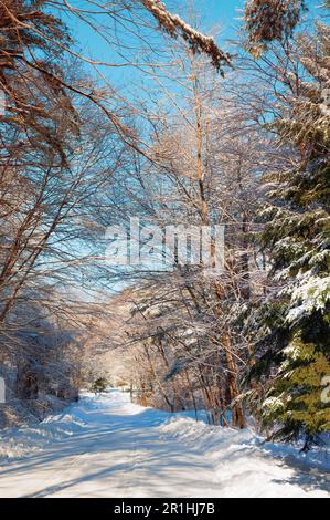 Winter in New England is always inviting with classic scenes Stock ...