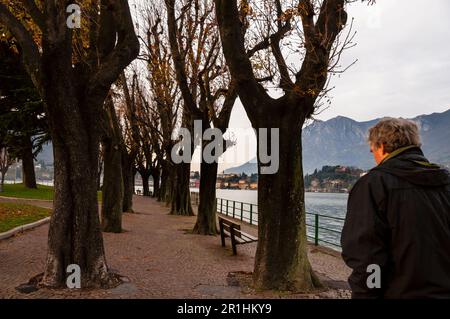 The oleander and lime tree promenade in Lecco is surrounded by mountain peaks on the shore of Lake Como in Italy. Stock Photo
