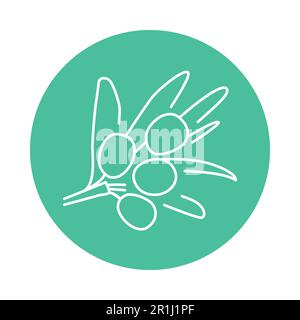 Sea buckthorn plant color line icon. Pictogram for web page, mobile app, promo. Stock Vector