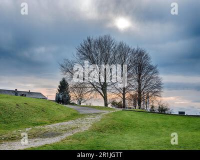 A large oak tree spreads its branches over a dirt road outside the old World War II concentration camp at Mauthausen. Stock Photo